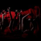 Teatr Tańca Dyemotion - spektakl „Obudź mnie”