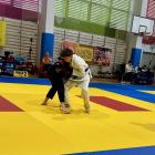 Mistrzostw Śląska w Ju-jitsu. Fot. Satori Jaworzno