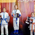 Mistrzostw Śląska w Ju-jitsu. Fot. Satori Jaworzno