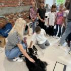 Zimowe półkolonie LEGOkreatywnie