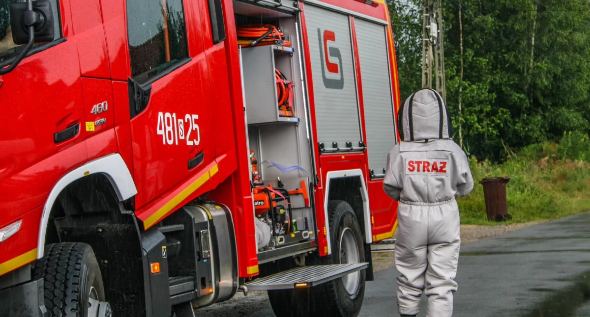 Usuwanie gniazda owadów błonkoskrzydłych. Źródło: Fotografia Ratownicza Gabriel Wilk