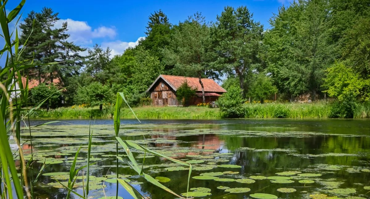 Informator / Materiały zewnętrzne , Wakacje Mazurach wymiar wypoczynku - zdjęcie, fotografia