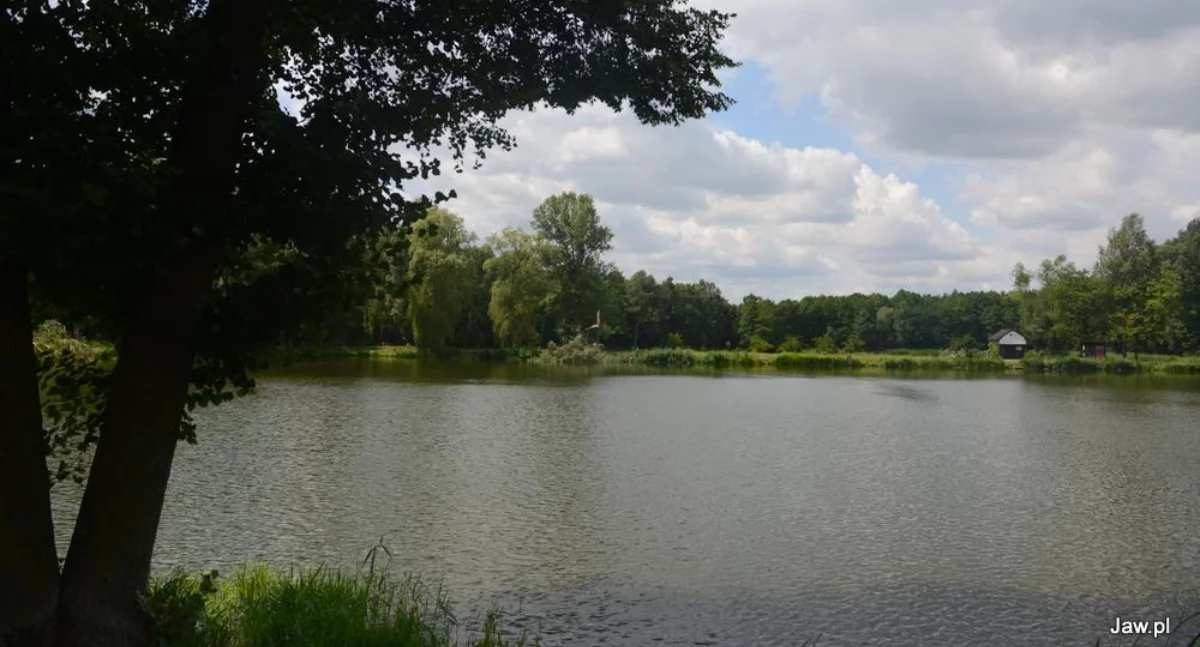 Tarka, archiwum jaw.pl
