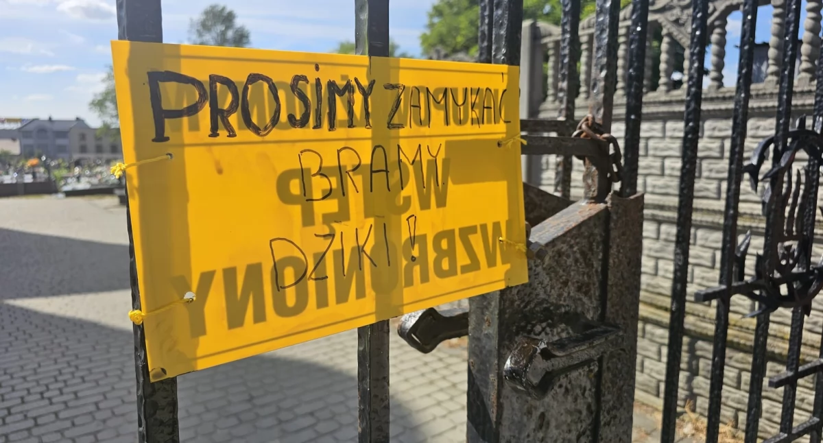 Życie miasta, Proszę zamykać bramy Dziki!!! Ostrzeżenie cmentarzu - zdjęcie, fotografia