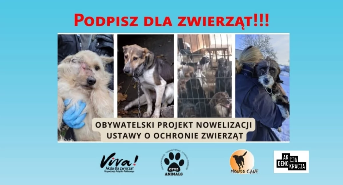 Fot: OTOZ Animals