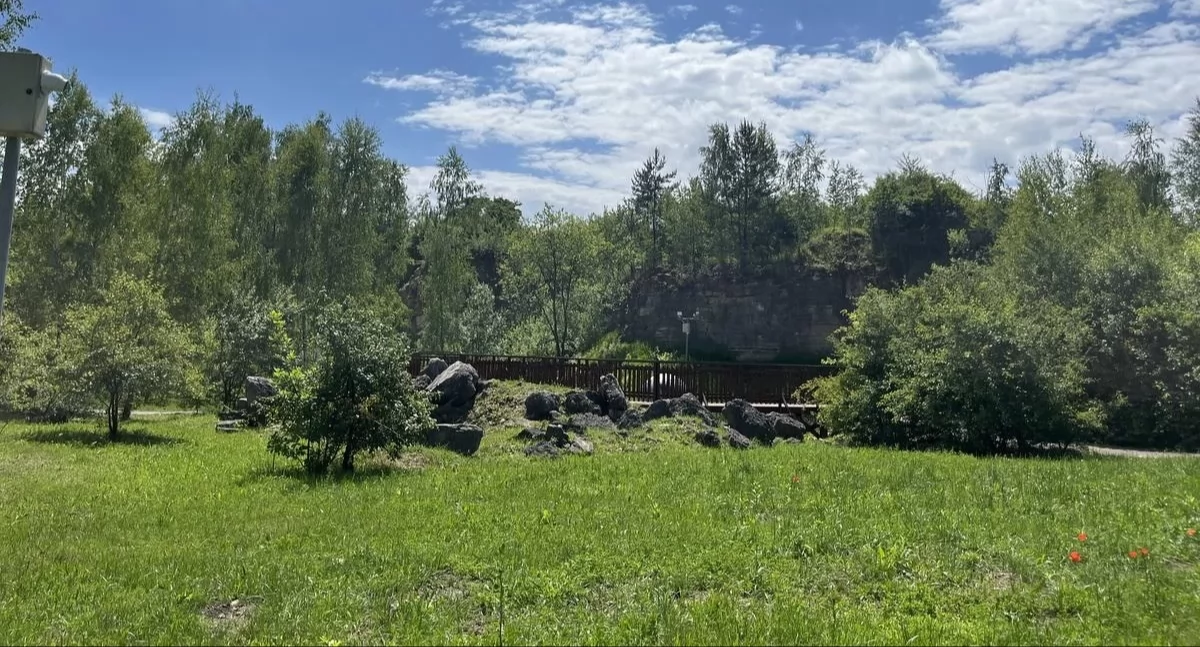 Piknik Geosfera Jaworzno