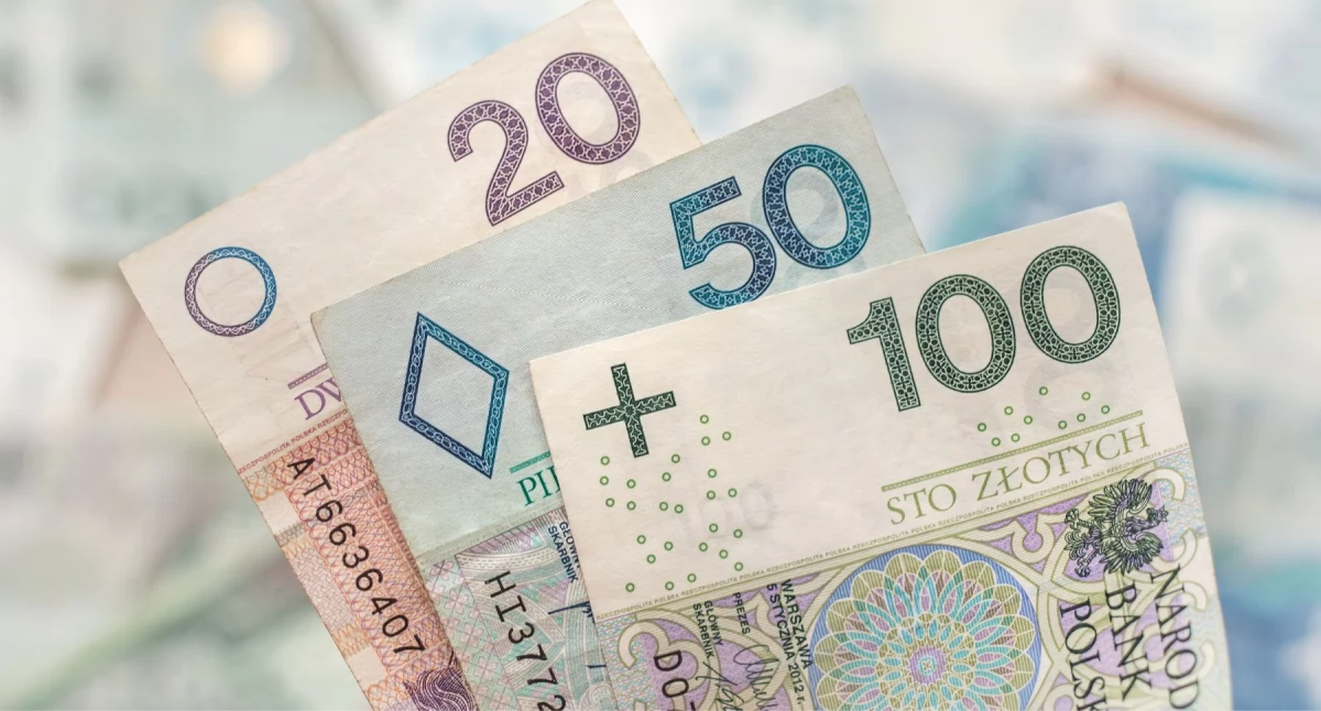 Polityka, Polsce niebawem może pojawić banknot nominale złotych - zdjęcie, fotografia