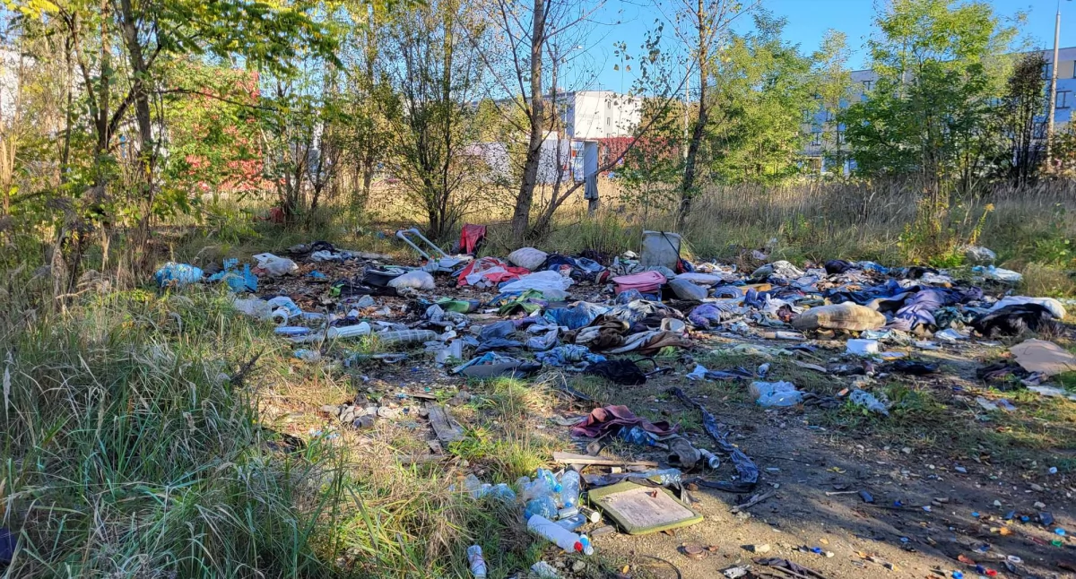 Dzikie śmietnisko naprzeciw Urzędu Skarbowego