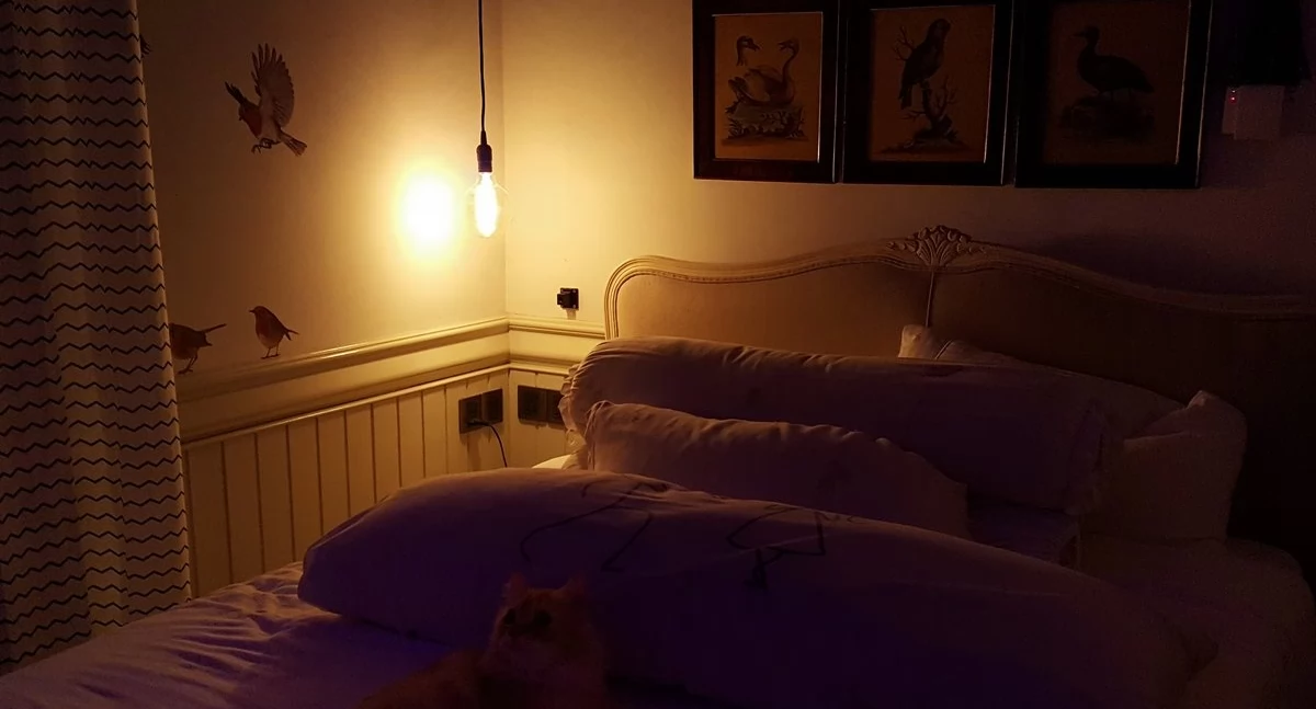 Informator / Materiały zewnętrzne , Eleganckie lampy sufitowe sypialni stworzyć idealny nastrój - zdjęcie, fotografia