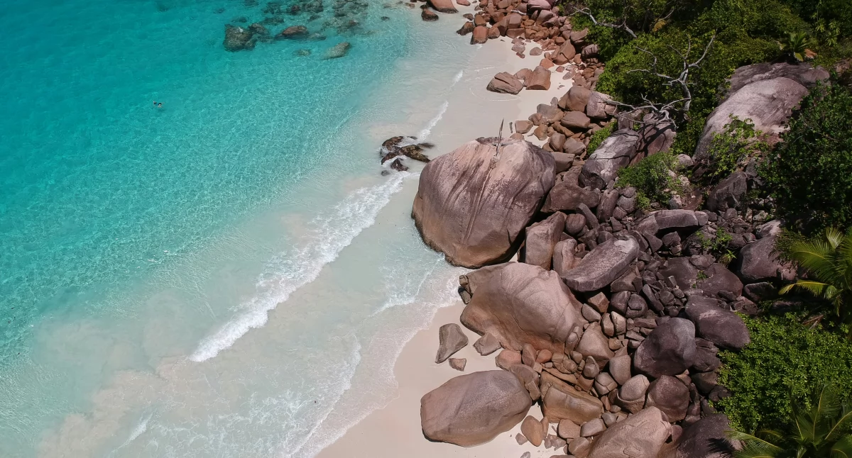 Informator / Materiały zewnętrzne , Wakacje Mauritius Zanzibar magiczne miejsca zimowy wypad Poznaj gdzie możesz wypocząć! - zdjęcie, fotografia