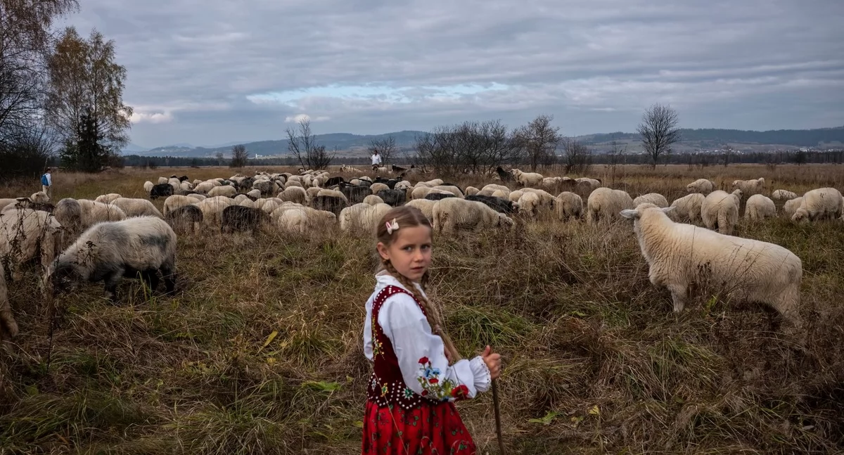 Fot. Paweł Jędrusik