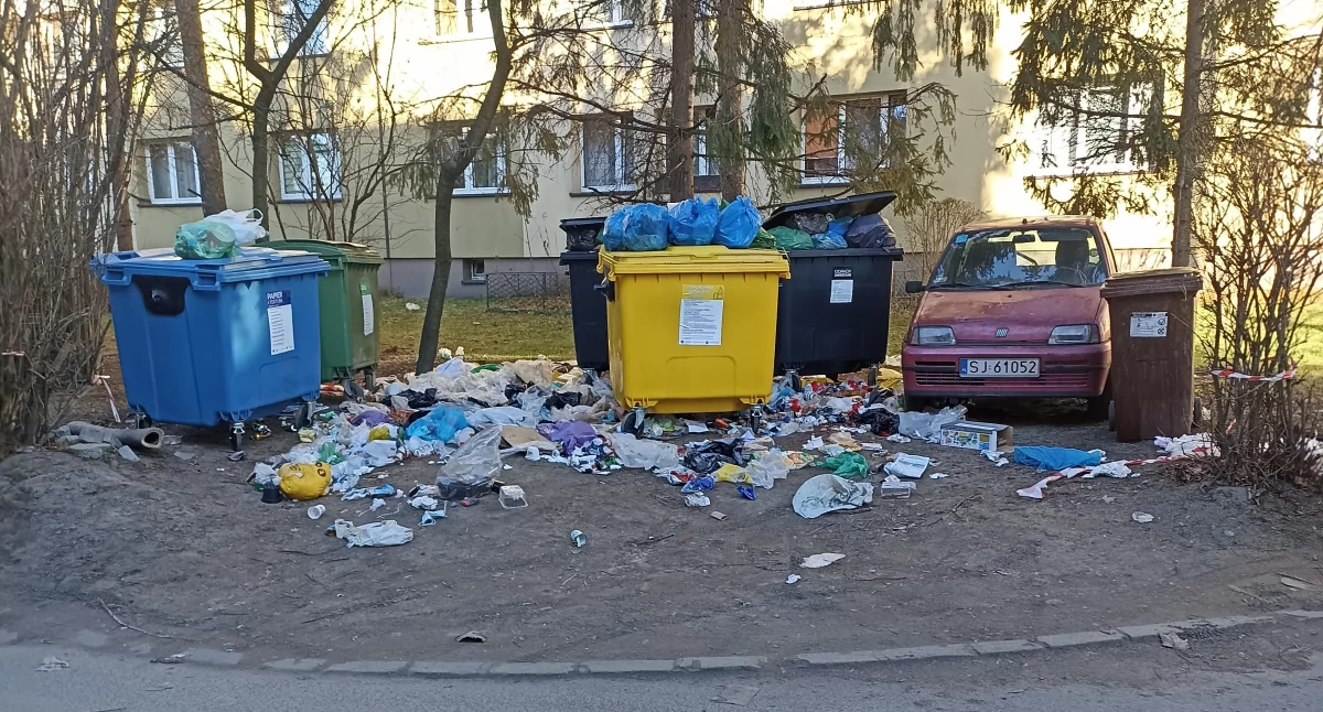 Interwencja, Świąteczny stół dzików Jaworznie - zdjęcie, fotografia