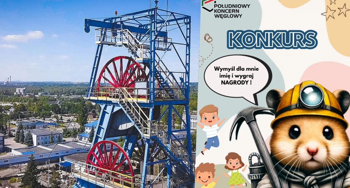 Konkursy, Kopalnia poszukuje imienia nowego Chomika - zdjęcie, fotografia