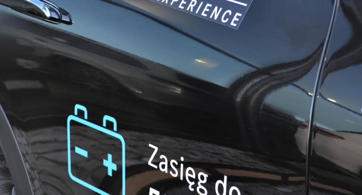 Informator / Materiały zewnętrzne , Dlaczego klienci coraz częściej wybierają firmy wspierające ekologię - zdjęcie, fotografia