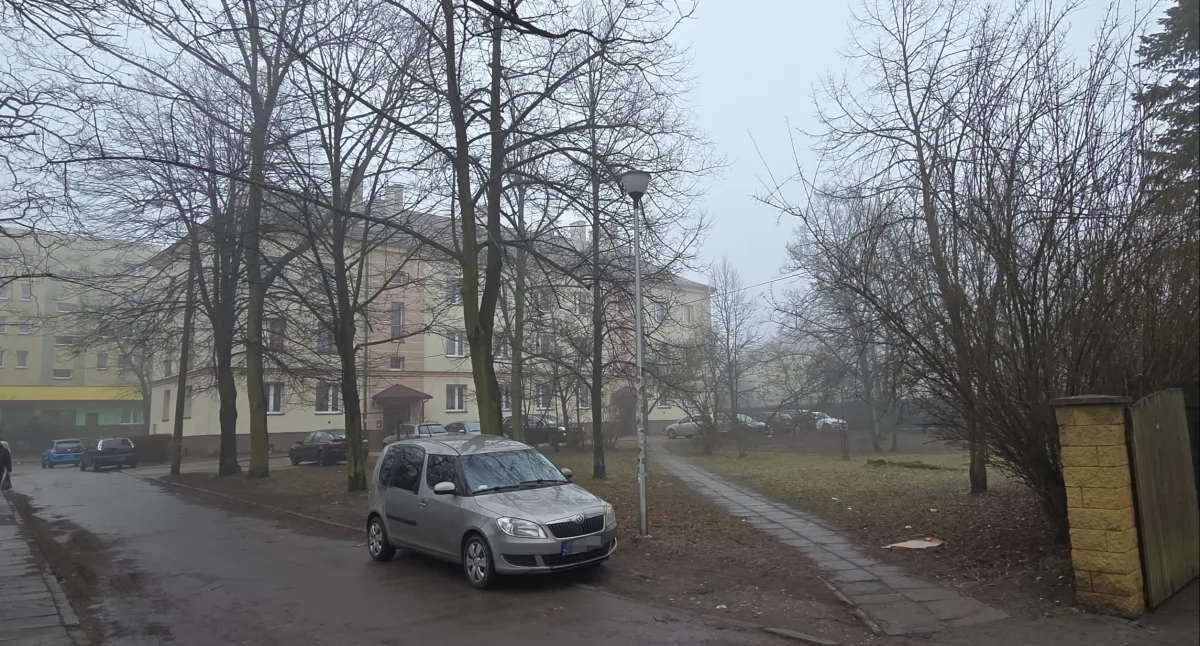 Zdjęcie poglądowe słupa. Fot: Pan Adrian Rybak