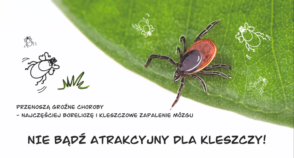 Fot: PSSE w Jaworznie