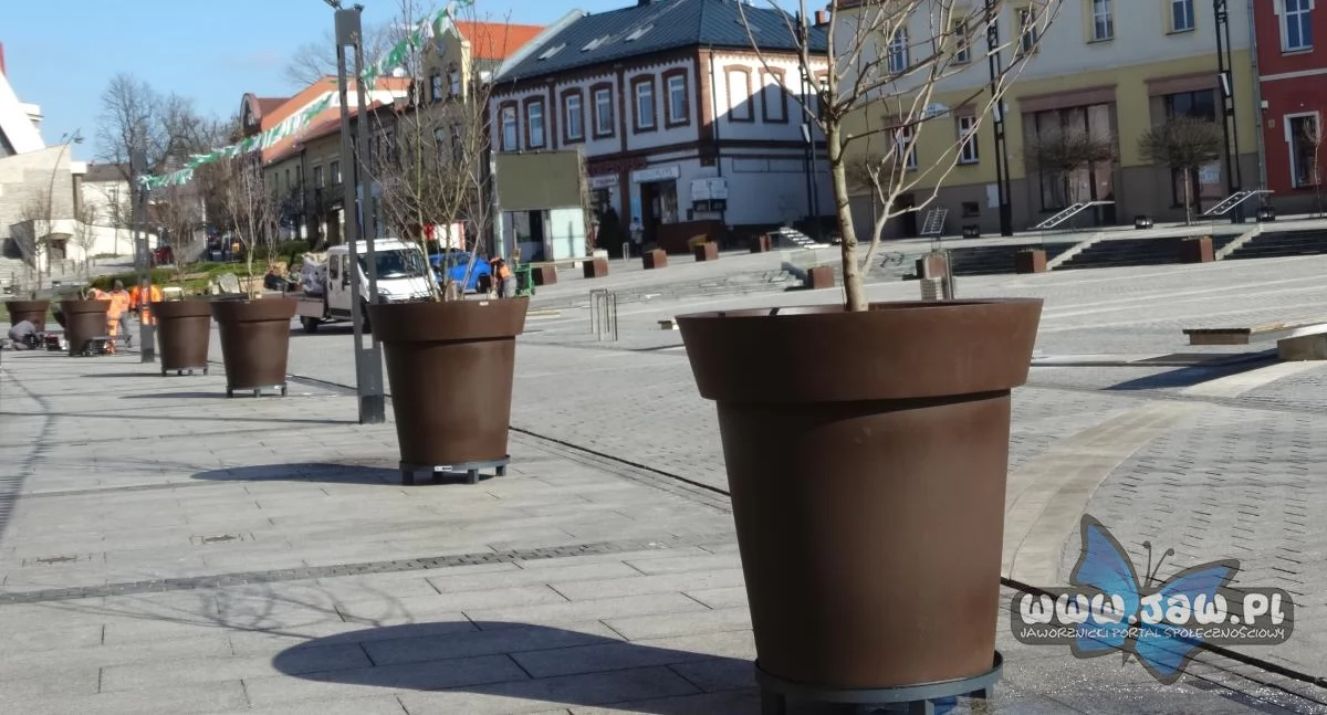 Wiosenne dekoracje na rynku
