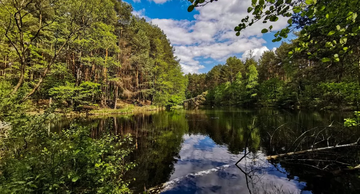 Bądź ECO, Ekolodzy zapraszają spacer rezerwatu Dolina Żabnika - zdjęcie, fotografia