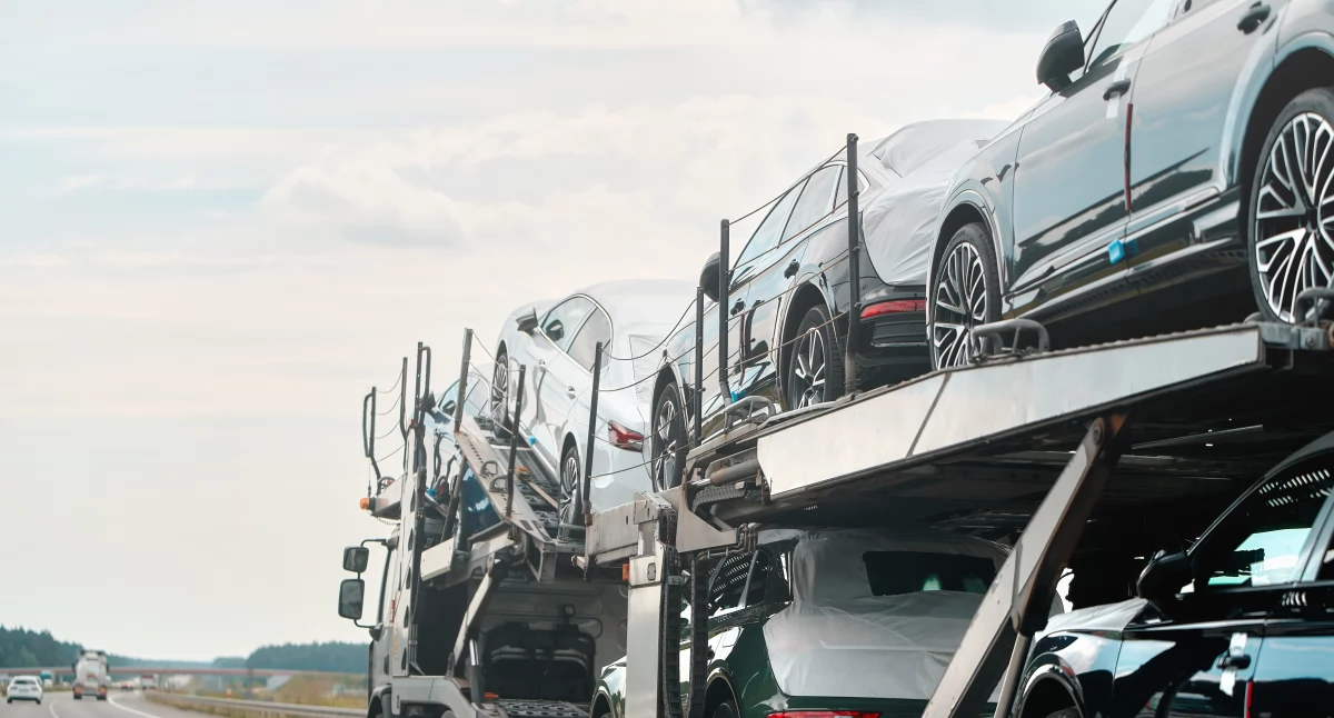 Informator / Materiały zewnętrzne , wygląda praca autotransporterze - zdjęcie, fotografia