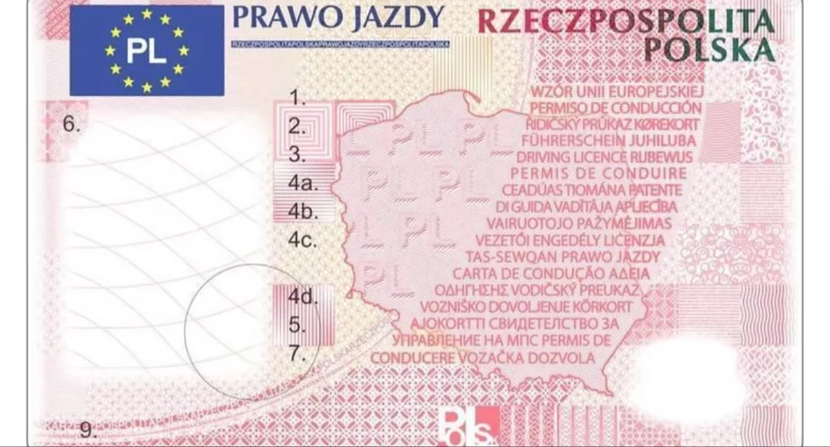 Życie miasta, Prawo jazdy latków wkrótce przepisy przygotowaniu - zdjęcie, fotografia