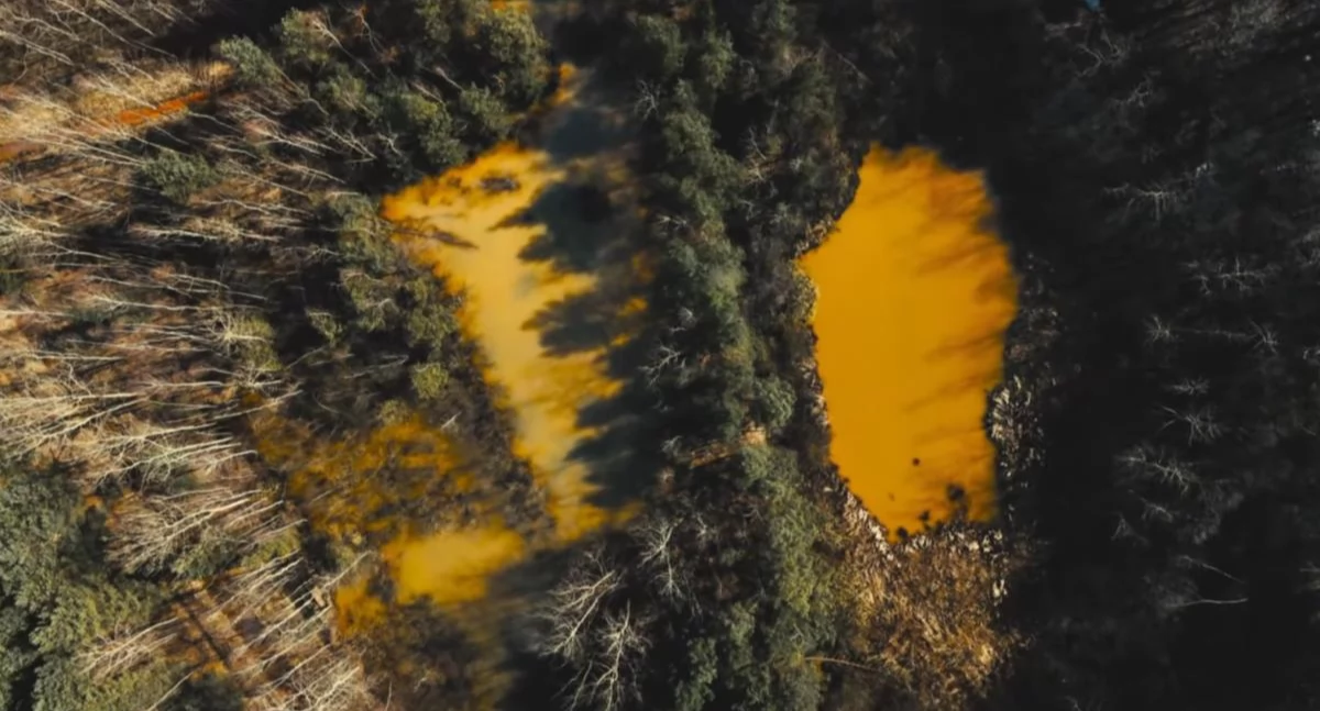 Bądź ECO, Badanie zanieczyszczeń terenie Zakładach Chemicznych Organika - zdjęcie, fotografia