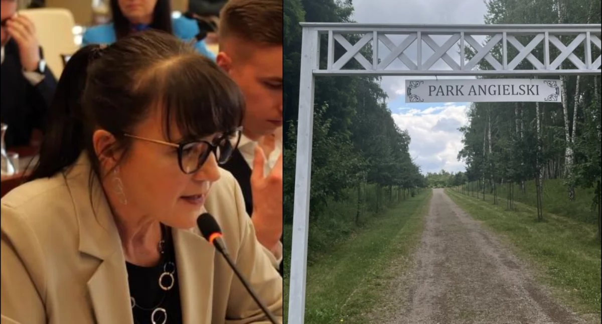 Życie miasta, Gdzie siusiu Parku Angielskim - zdjęcie, fotografia