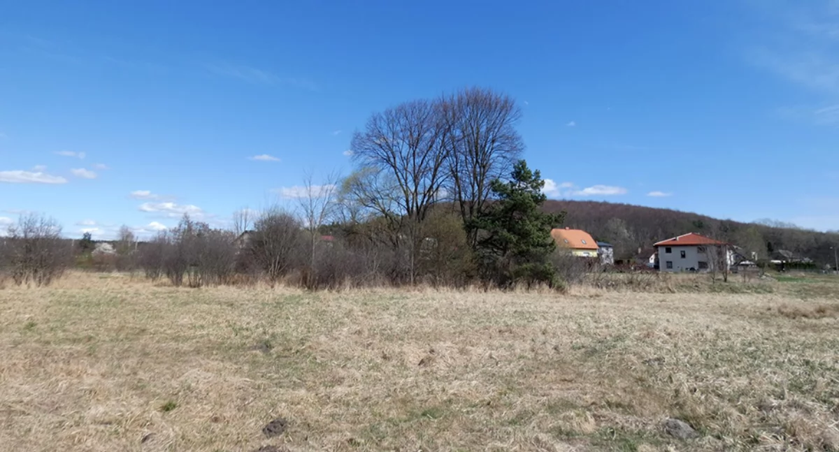 Biogrupa z wiązami