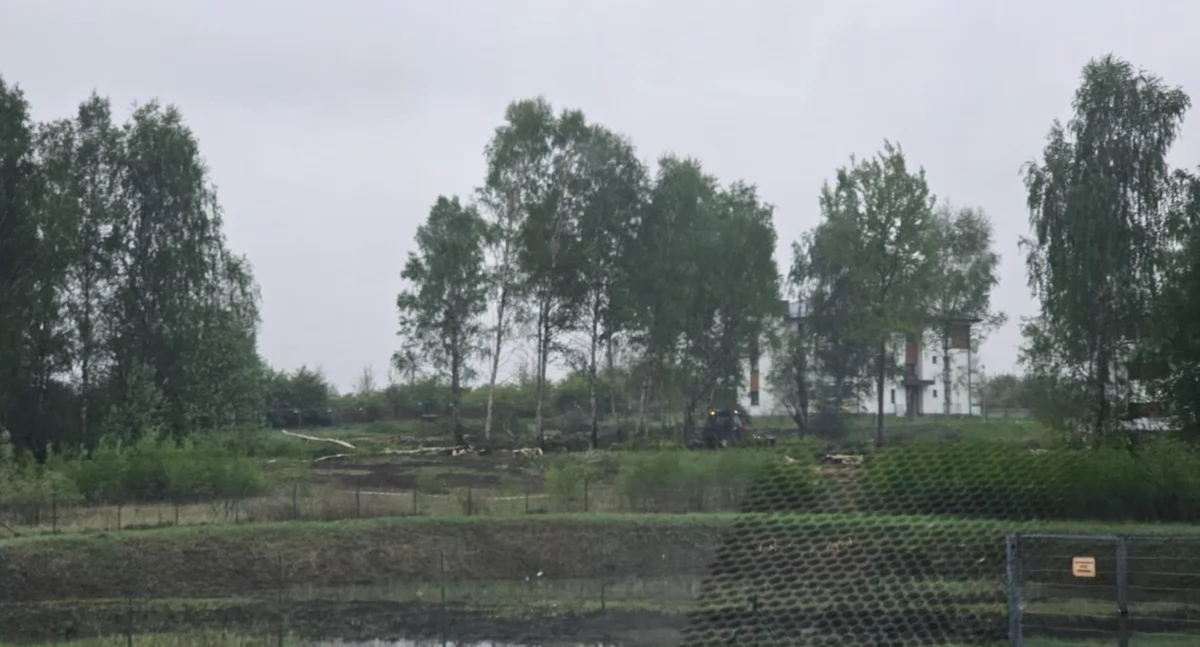 Życie miasta, Wycinają drzewa GEOsferze budowę nowych bloków - zdjęcie, fotografia