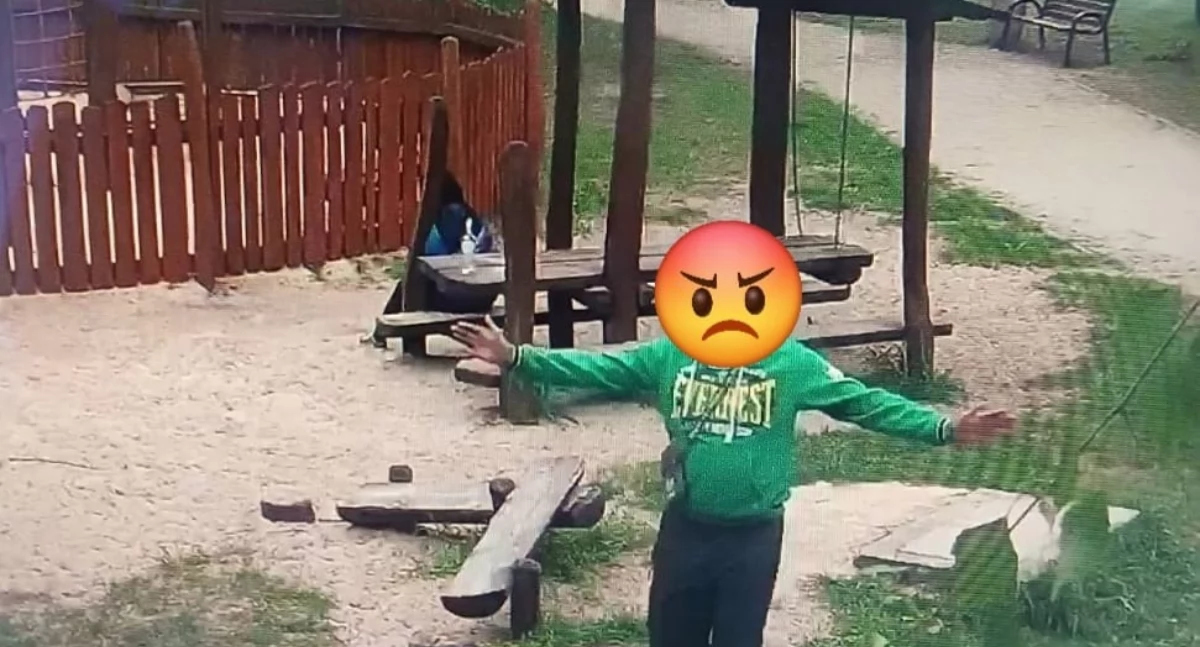 Życie miasta, Monitoring miejski skutecznie pomaga ujęciu sprawcy dewastacji - zdjęcie, fotografia
