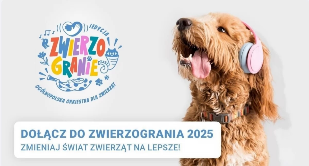 Rozrywka, Wielki finał Zwierzogrania Sosnowcu! - zdjęcie, fotografia
