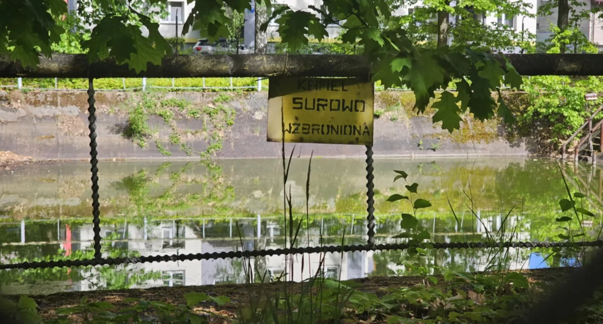 Życie miasta, Południowy Koncern Węglowy sprzedaje działkę Jaworznie - zdjęcie, fotografia