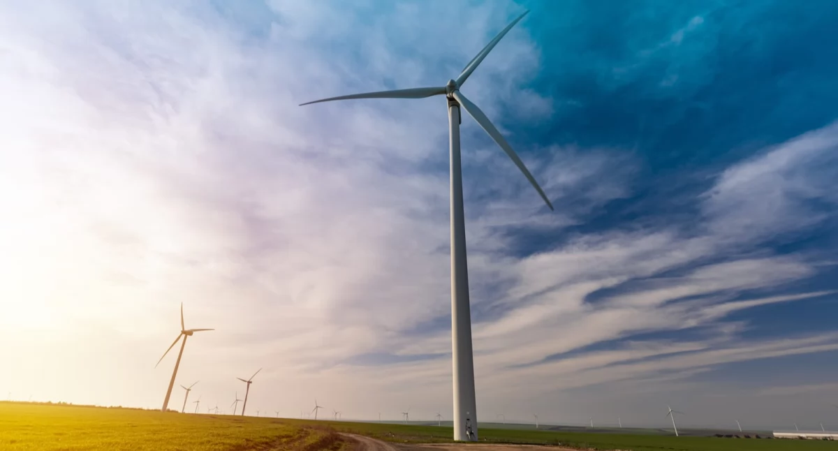 Informator / Materiały zewnętrzne , Jakie firmy mogą skorzystać energii wiatrowej - zdjęcie, fotografia