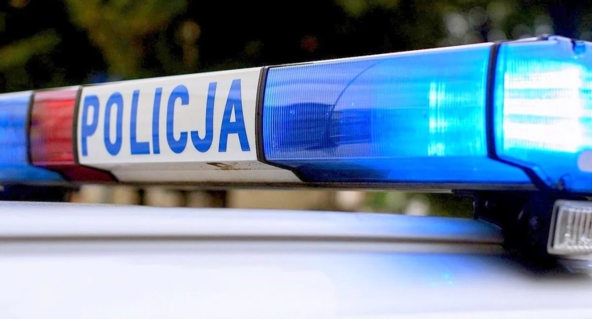Życie miasta, Policja poszukuje świadków wypadku - zdjęcie, fotografia