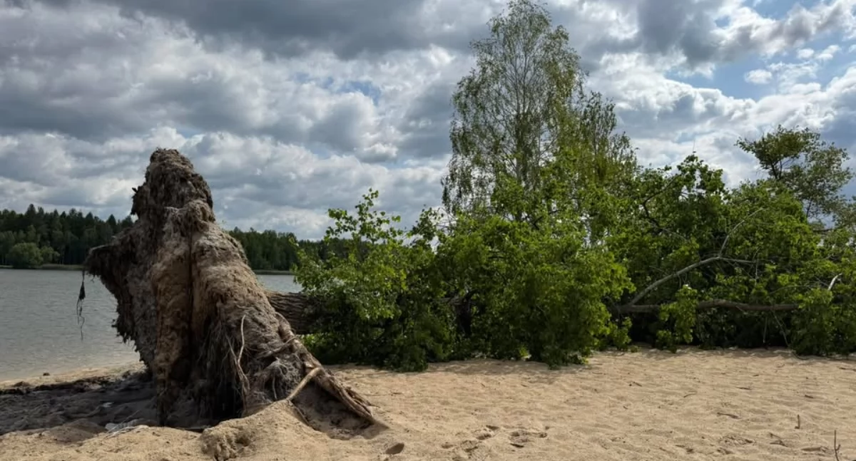 Zdjęcia nadesłał pan Mariusz, czytelnik portalu jaw.pl