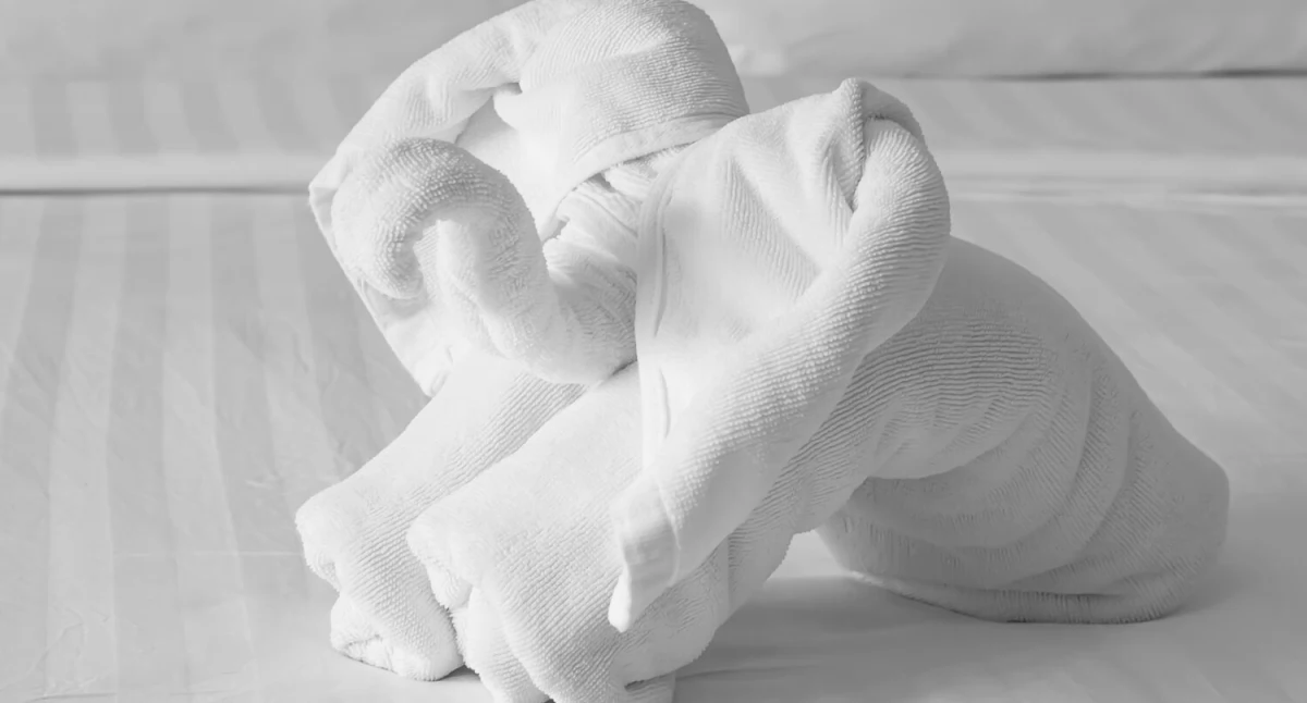 Informator / Materiały zewnętrzne , Ekologiczne tekstylia hotelowe korzyści środowiska gości - zdjęcie, fotografia
