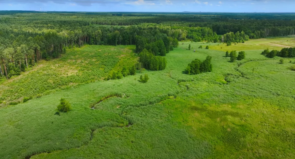 Bądź ECO, Kozłowa Góra poszukiwaniu meandrów Brynicy - zdjęcie, fotografia