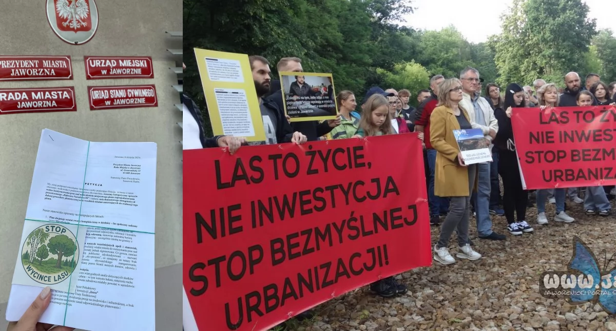 Życie miasta, Ponad tysiące podpisów przeciwko wycince Dąbrowie Narodowej Mieszkańcy mówią betonowania Jaworzna - zdjęcie, fotografia