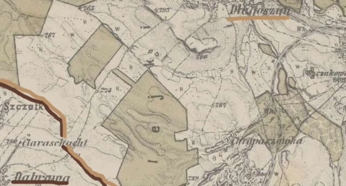Rejon pomiędzy Dabrową a Długoszynem, w którym można znaleźć tytułowe relikty (mapire.eu)
