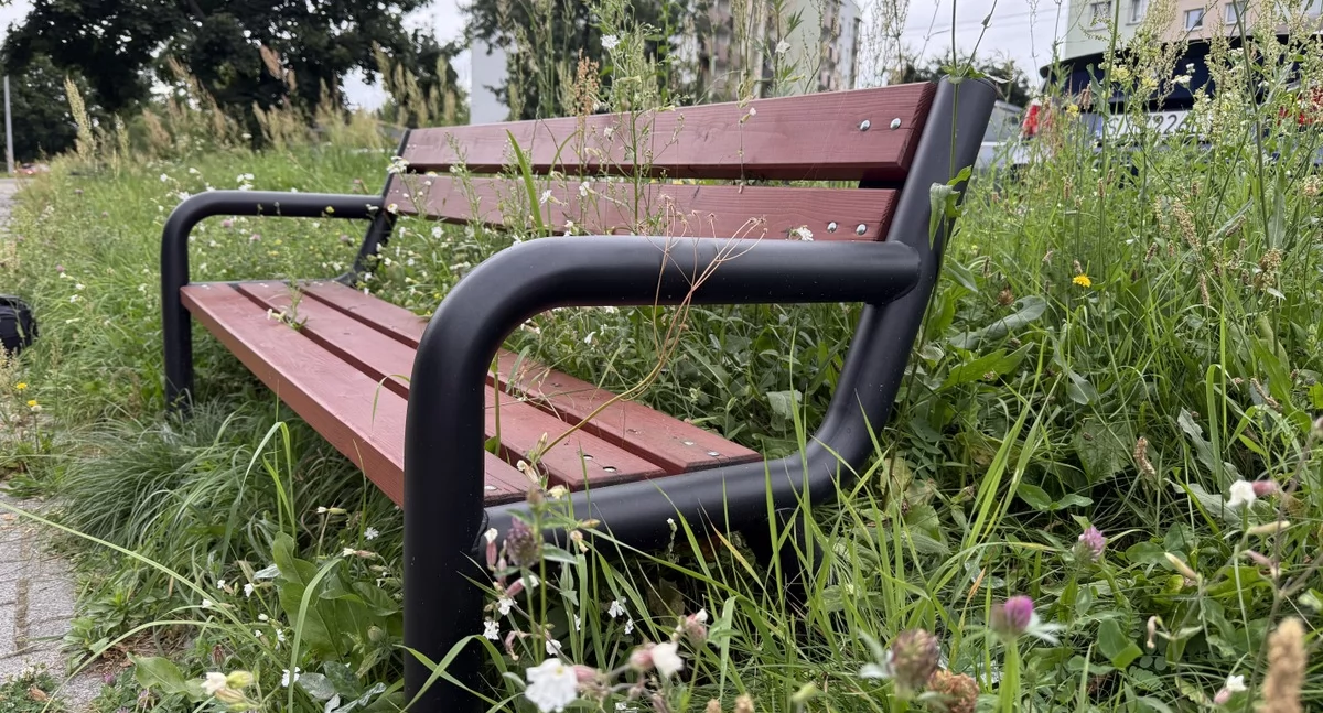 Życie miasta, Łąki kwietne dlaczego ławeczki piknikowe Zarośnięta ławeczka obcowanie naturą - zdjęcie, fotografia