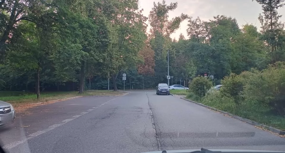 Interwencja, Parkują wzdłuż ulicy zamiast wolnym parkingu Problem ulicy Puszkina - zdjęcie, fotografia