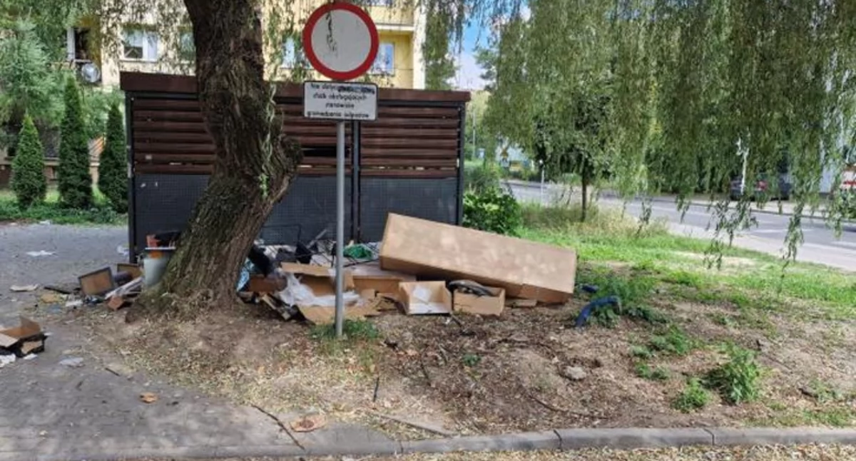 Interwencja, Śmierdząca wiata śmietnikowa szczurami Zarządca został wezwany uprzątnięcia terenu - zdjęcie, fotografia
