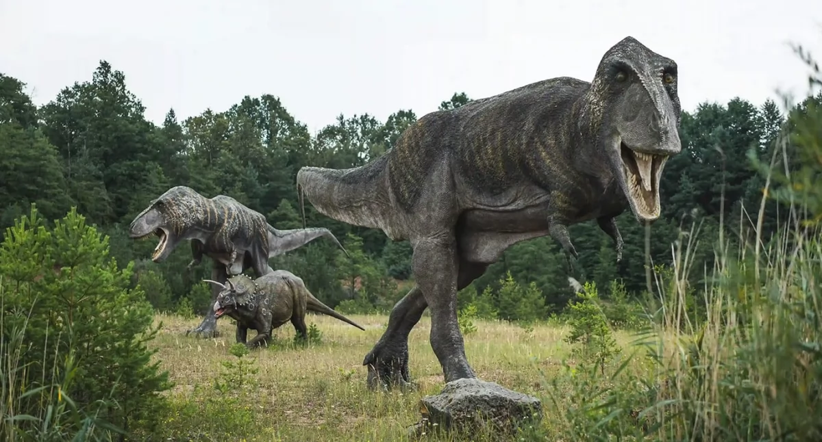 Informator / Materiały zewnętrzne , jakich miejscach można zgłębić wiedzę dinozaurach - zdjęcie, fotografia
