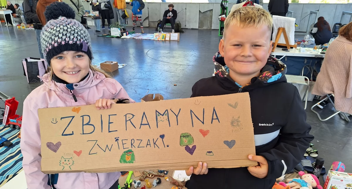 Życie miasta, Jaworznicki Pchli udana wrześniowa odsłona - zdjęcie, fotografia