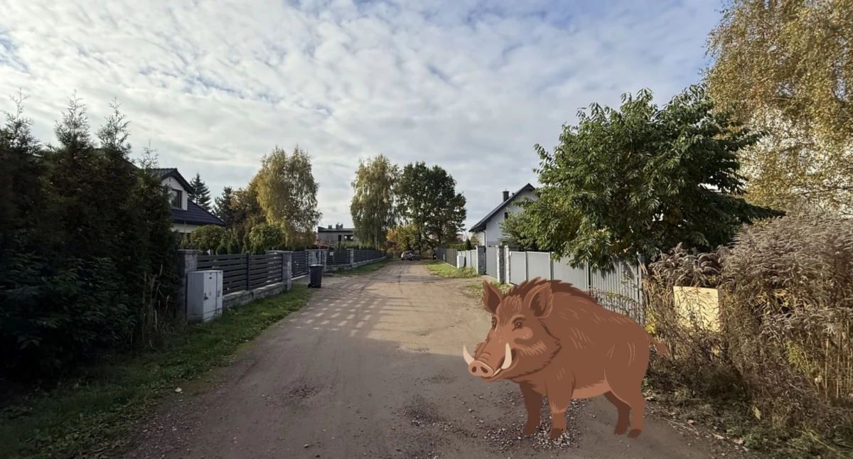 Ulica Dzika w Jaworznie