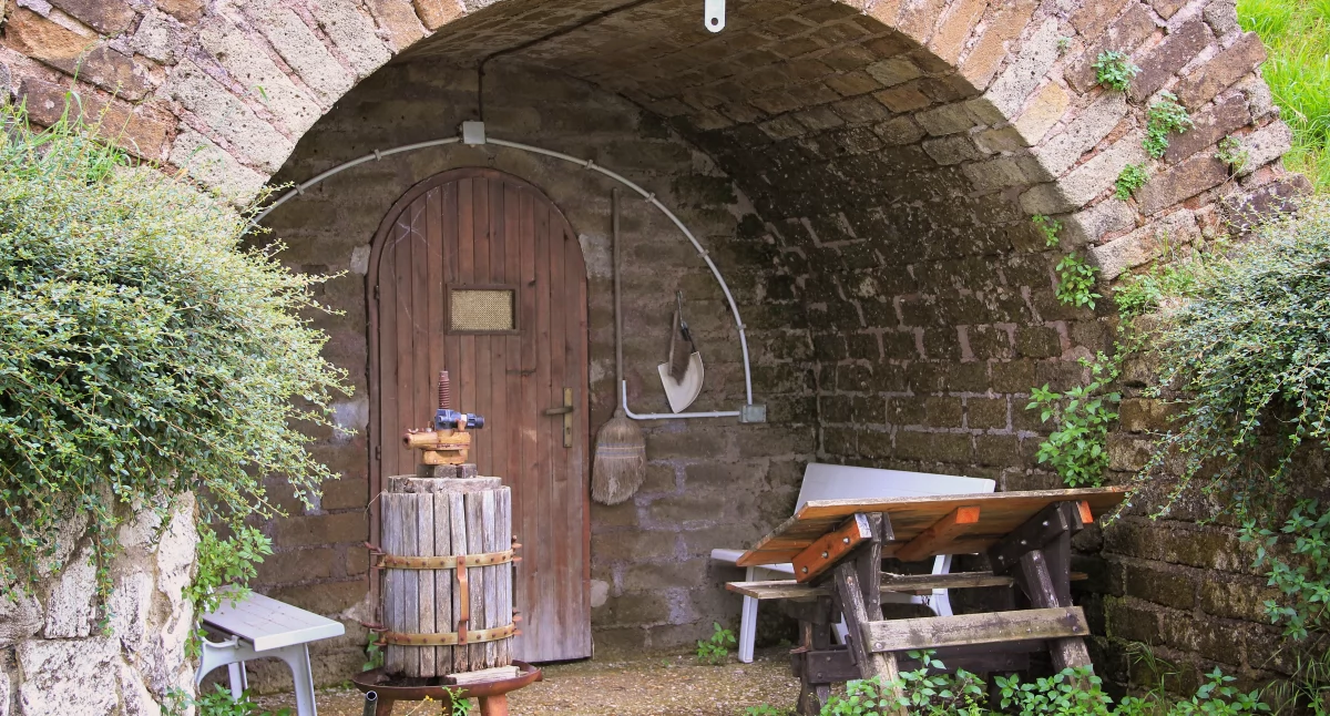 Informator / Materiały zewnętrzne , Jaką piwnicę ogrodową wybrać Kompletny przewodnik osób szukających idealnej piwniczki ogrodowej - zdjęcie, fotografia