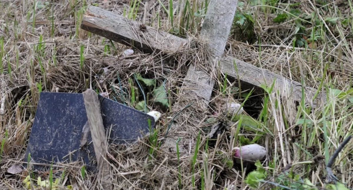 Zaniedbany grób (fot. wikipedia)