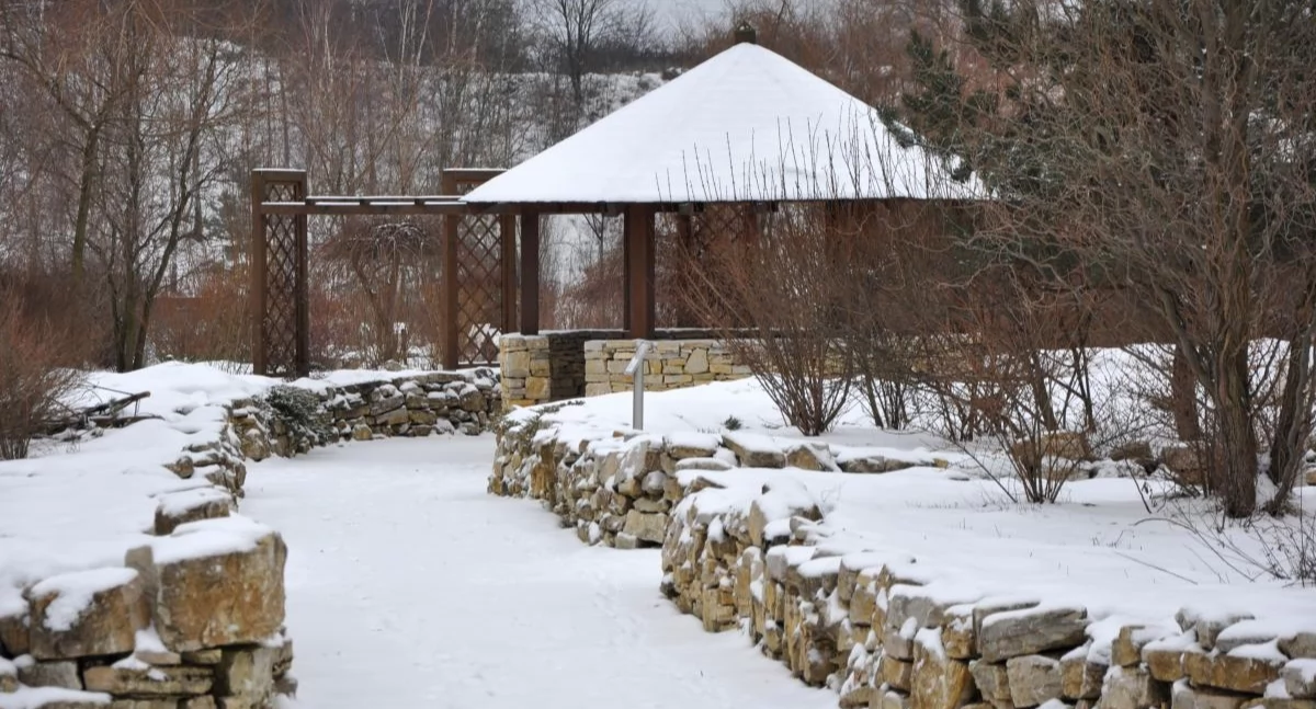 Życie miasta, Prognoza pogody zimę 2025/2026 Kiedy spadnie śnieg - zdjęcie, fotografia