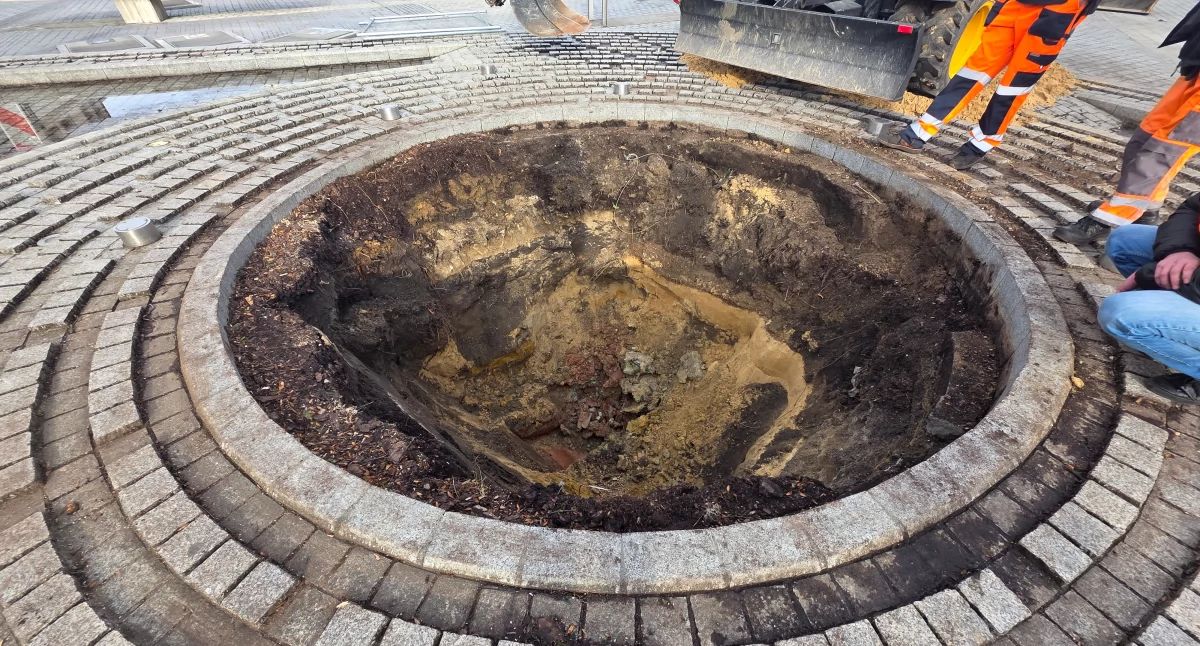 Miejsce uschniętego jawora. 