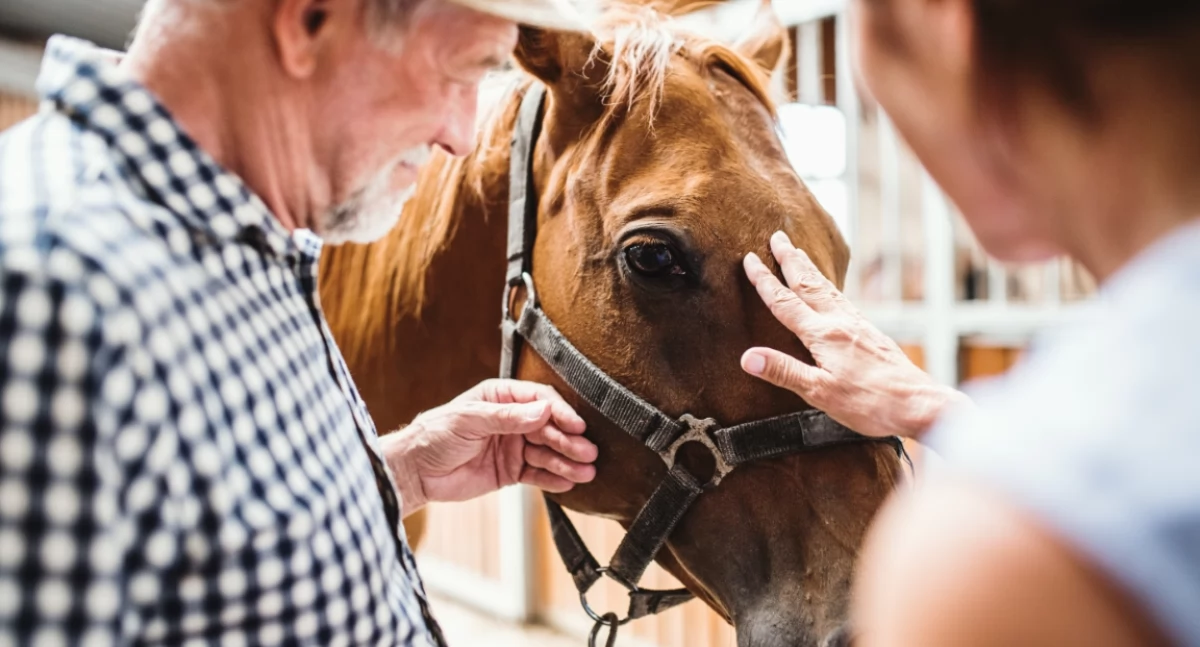 Informator / Materiały zewnętrzne , Zacznij przygodę hipoterapią Poznaj rolę jaką pełni instruktor hipoterapii - zdjęcie, fotografia