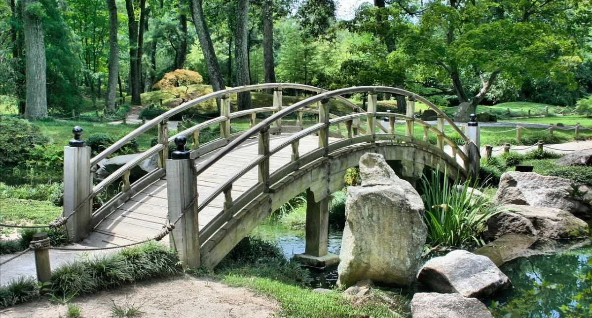 Bądź ECO, edycja konkursu „Zielona Przestrzeń” rozstrzygnięta otrzyma wsparcie tereny zielone - zdjęcie, fotografia